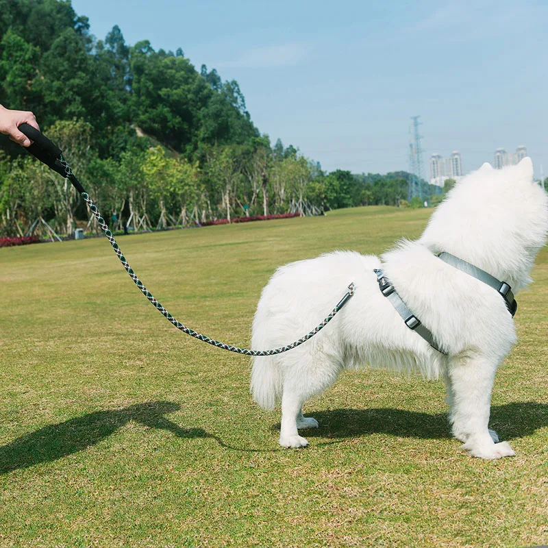 Собачий поводок TUFF собачий из нейлона для прогулок бегущих поводков
