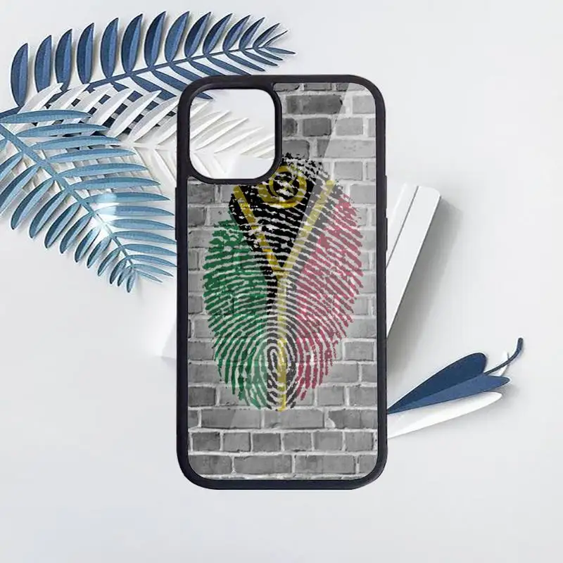 

Belarus flag Phone Case for iPhone 11 12 pro XS MAX 8 7 6 6S Plus X 5S SE 2020 XR Hard PC