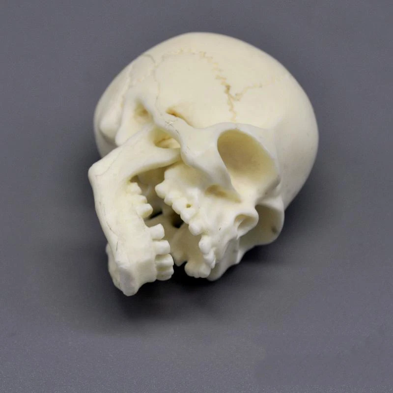 1/6 Scale белый череп головы с ручными типами для 12 дюймовых экшн фигурок сцена