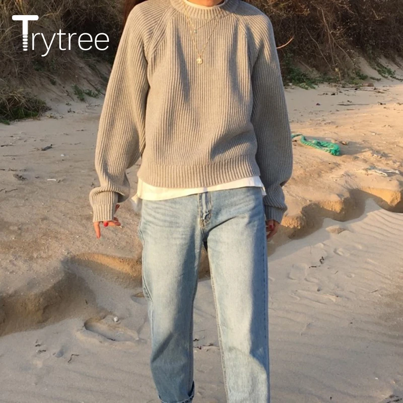 Trytree 2019 Autumn Winter Women Casual Sweater O-neck Pullovers Knitting Fashion Loose Solid 4 Colour All-Purpose Style | Женская