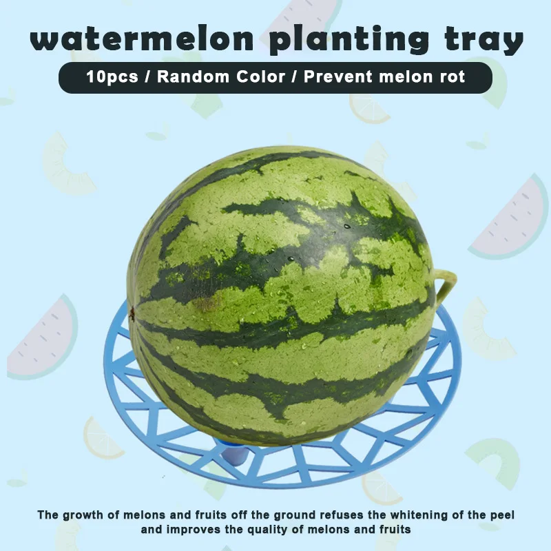 Новинка 10 шт. дыни для сквоша колыбели многоразовые растений и сад Поддержка