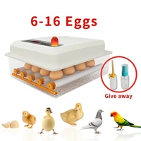 dual power supply home use full automatic eggs incubator 16pcs