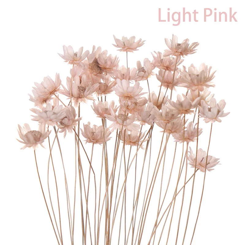 

30pcs Dried Flower Brazilian Little Star Flower Gypsophila Chrysanthemum Art Decor DIY BOM666