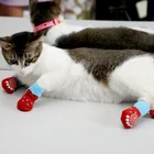 4 шт., противоскользящие носки для домашних животных