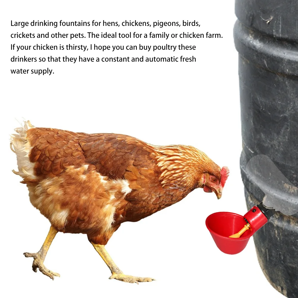 

5PCS Chicken Drinker Automatic Chicken Drinker Cups Poultry Water Drinking Dispenser Water Drinker Tool For Bird