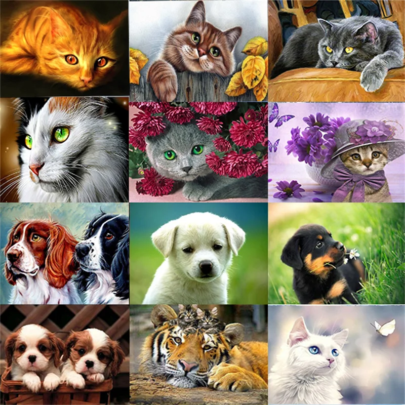

5D DIY Diamond Painting Full Round Cat Dog Picture Diamond Embroidery Mosaic Animals Pattern Cross Stitch Home Decoration Gift