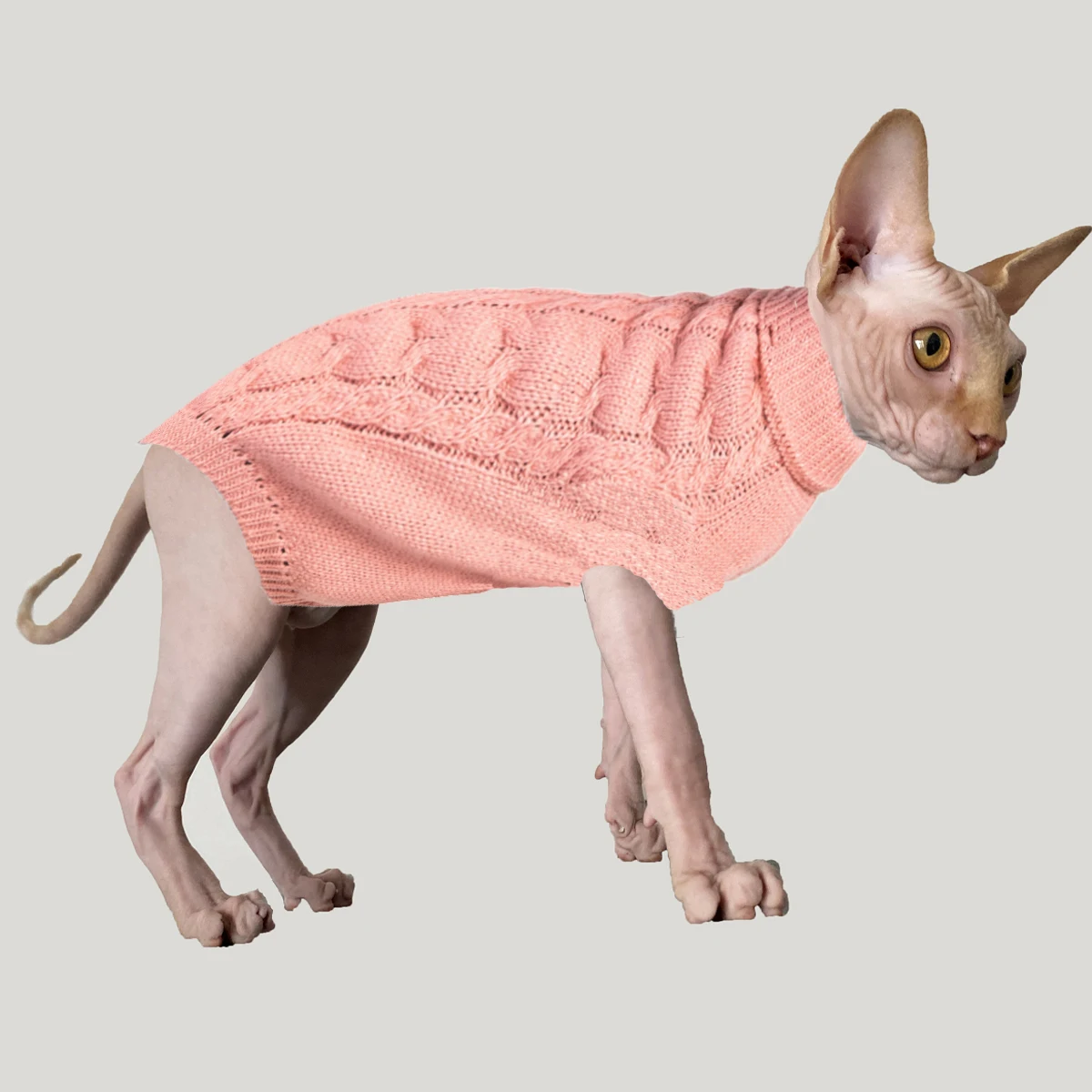 

Pet Sweater Sphynx Cat Clothes Autumn and winter Warm Woolen Sweater Small Dogs Clothes