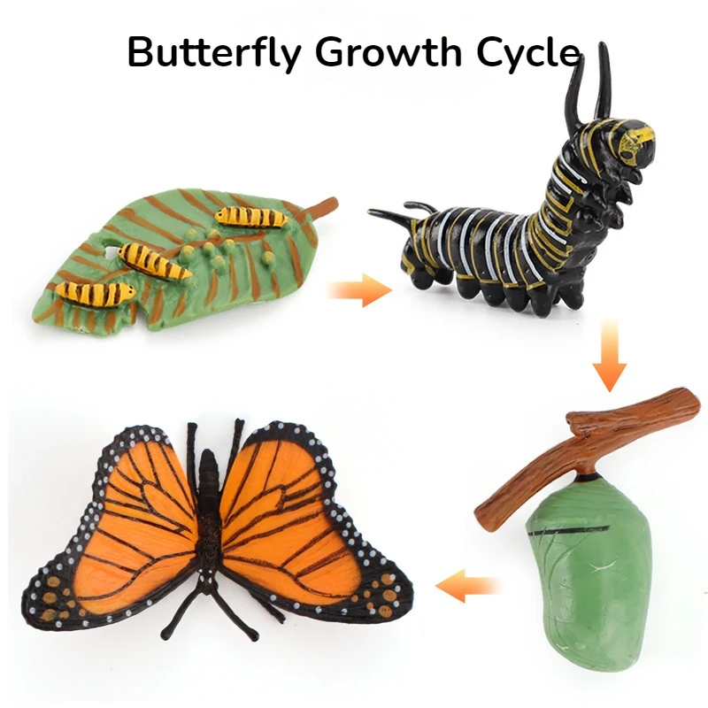 Моделирование растений животных рост модели фасоли насекомых лягушка бабочка