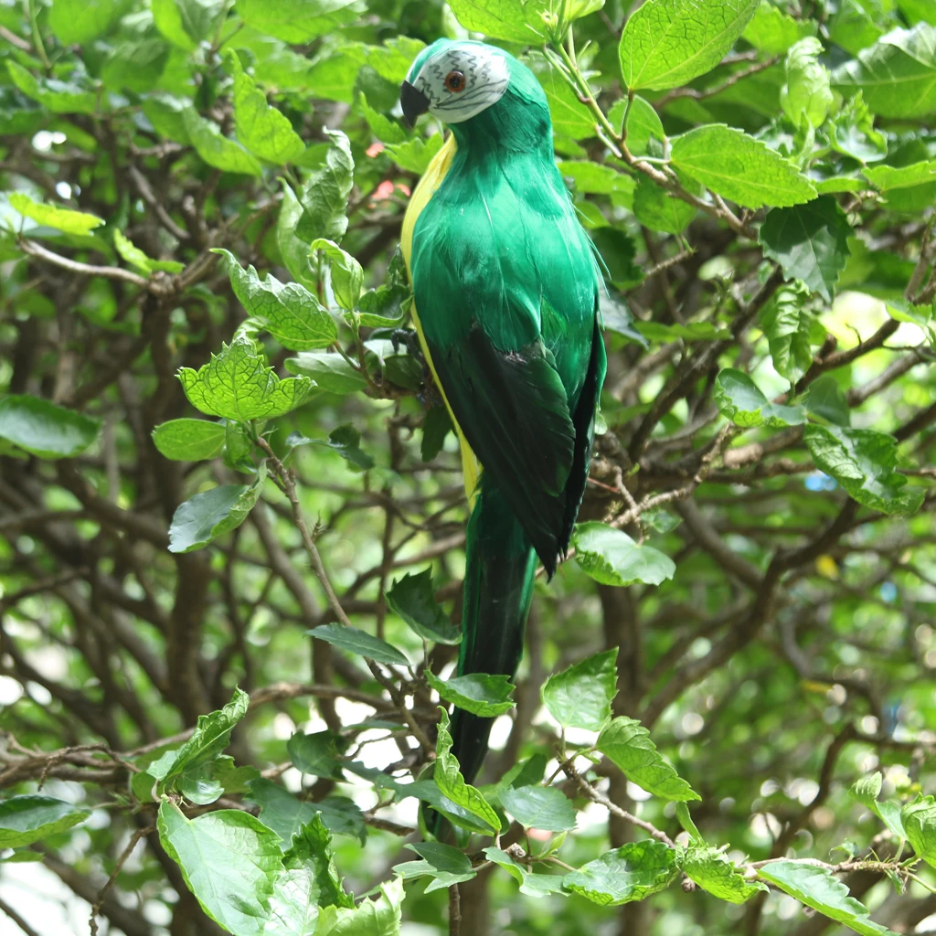 Реалистичный Macaw попугай Искусственное перо Птица Животное украшение сад
