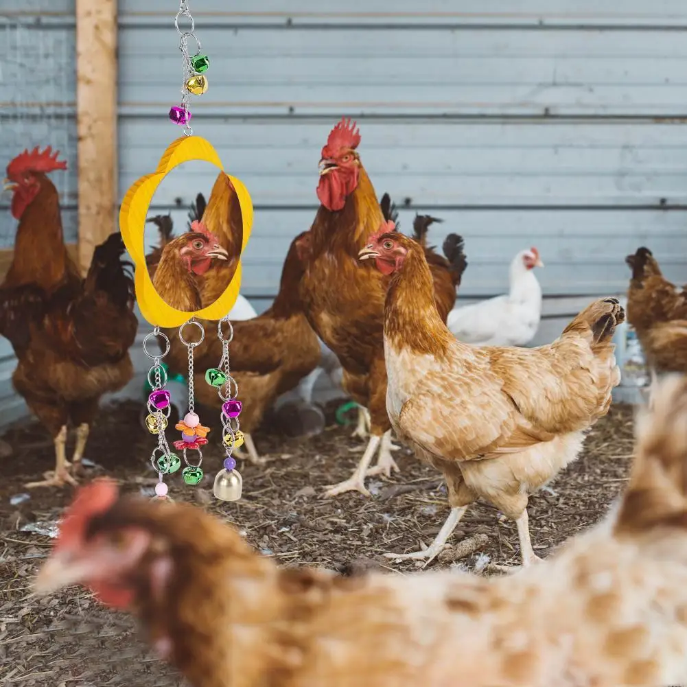 

Игрушки-качели, безопасная курица, подвесные зеркальные игрушки, развлекательная игрушка для птицы, износостойкие товары для домашних живо...