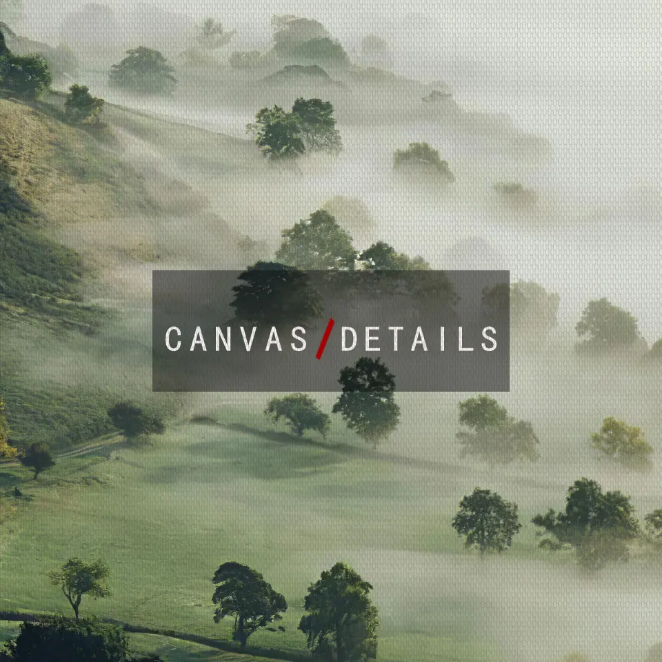 Постер на стену в скандинавском стиле Настенная картина с изображением леса