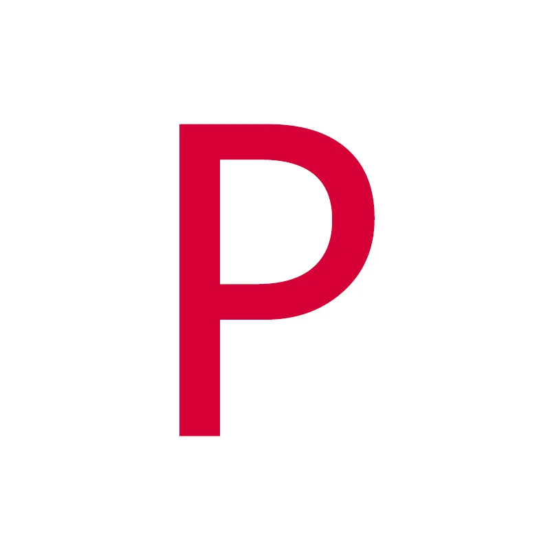 P Trusta,,, 925, твердое Стерлинговое Серебро, ювелирное изделие, буква, кулон, имя, ожерелье, подарок для девочки-подростка, подруги, день рождения, леди, DS1543 - Окраска металла: P
