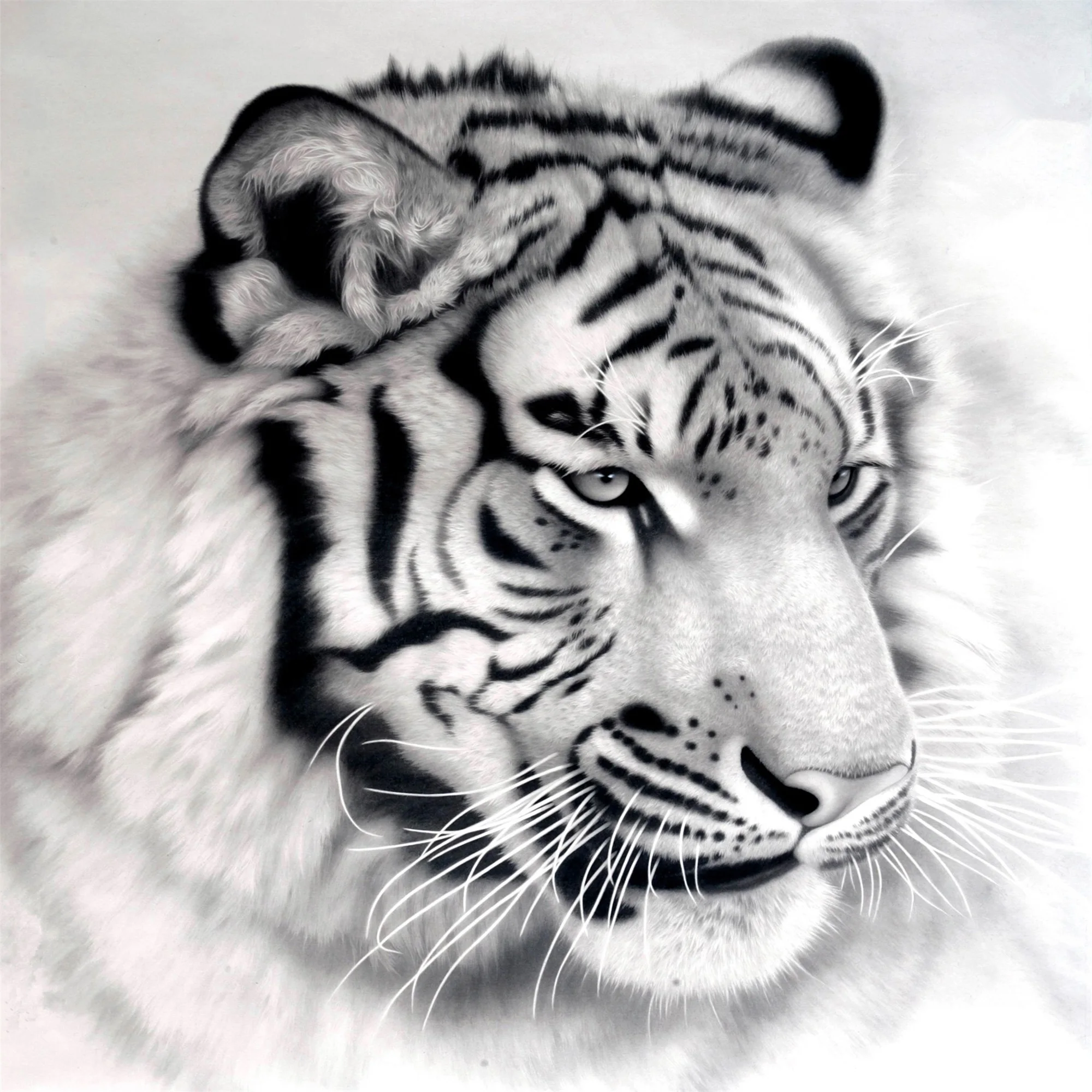 

Daimond DIY 5D Diamond Painting White Tiger Full Drill Square Round Mosaic Embroidery New Year Gift Decoration Diamant Painting