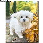 Алмазная вышивка Мальтийская полная квадратная круглая дрель алмазная живопись 5d diy Бриллиантовая мозаичная фигурка животного листья собаки украшение дома,