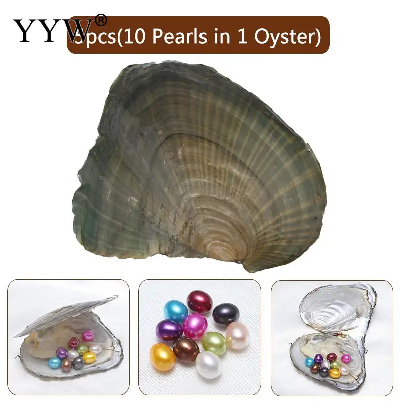

5PCs/Lot Freshwater Cultured Pearl Oyster Beads Natural Rice Mixed Colors 7-8mm Love Wish Pearl Oyster Mussel DIY Making Gift