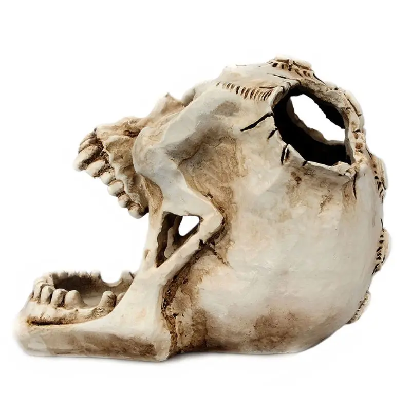 Skull Head Ornament Skeleton Pen Holder Desktop Pencil Organizer Makeup Storage XXUC | Канцтовары для офиса и дома