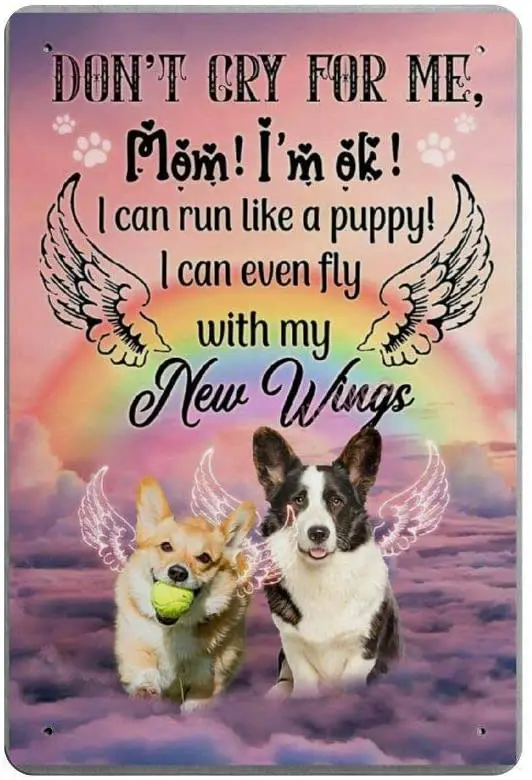 

Bit SIGNSHM Fly with My New Wings Retro Metal Tin Sign Plaque Poster Wall Decor Art Shabby Chic Gift Suitable 12x8 Inch