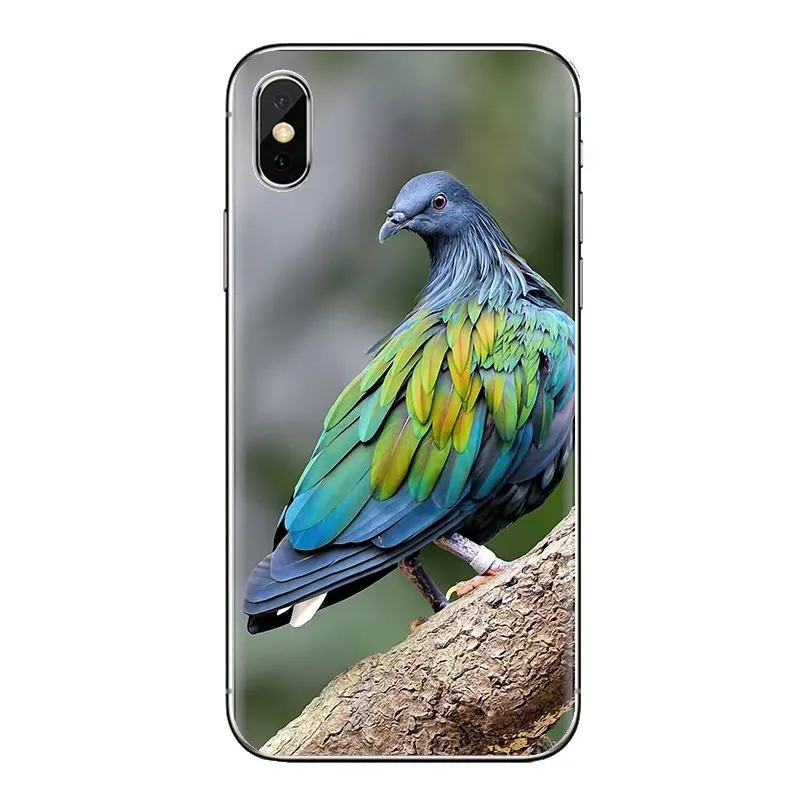 For Samsung Galaxy S3 S4 S5 Mini S6 S7 Edge S8 S9 S10 Plus Note 3 4 5 8 9 Pastel Pigeon Free beautiful bird Silicone Phone Cover |