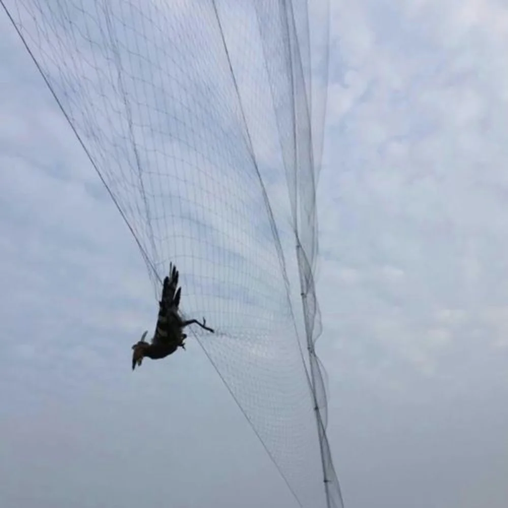 

Hot Sale Anti Bird Net Crop Netting Mesh Garden Fruit Plant Tree Pond Protection Netting Vegetable Care Garden Tools Supplies
