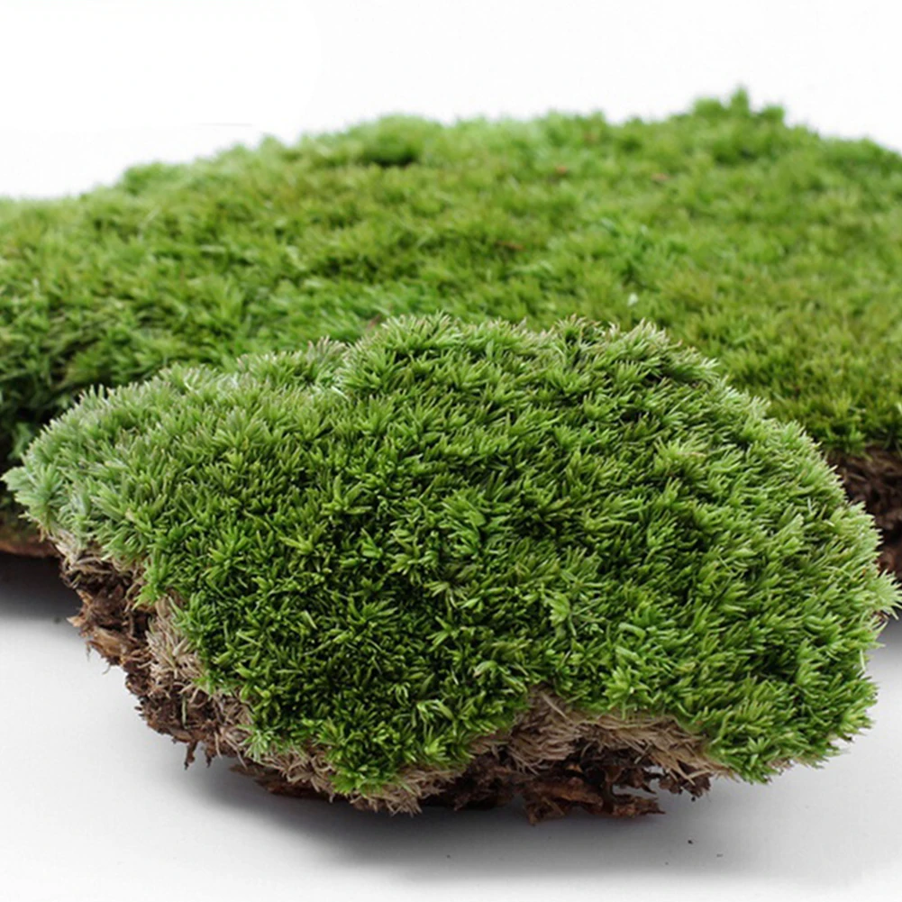 

Multifunctional Green Durable Garden Mini Balcony Easy Care Home Decor Landscape Plastic Artificial Moss
