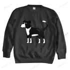 Мужская Уличная одежда, толстовка, свитшот, художественные толстовки с изображением мультяшной собаки Бордер-колли, брендовая Весенняя толстовка для мальчиков, Прямая поставка