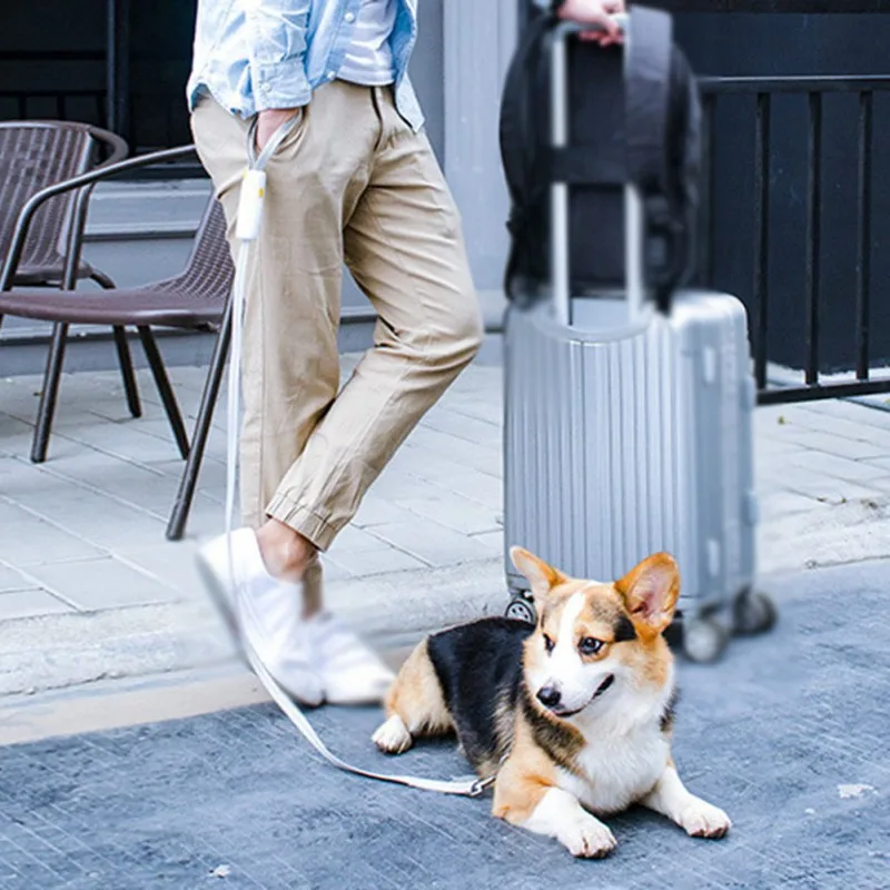 Высокое качество собака эластичный прочность тяговых канатов для бега прогулок