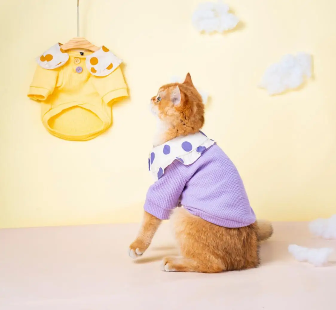 

Cat Clothes for Small Cats Clothing Pet Dog Cat Coat Cotton Jacket Clothes for Cats Chihuahua Pet Outfit
