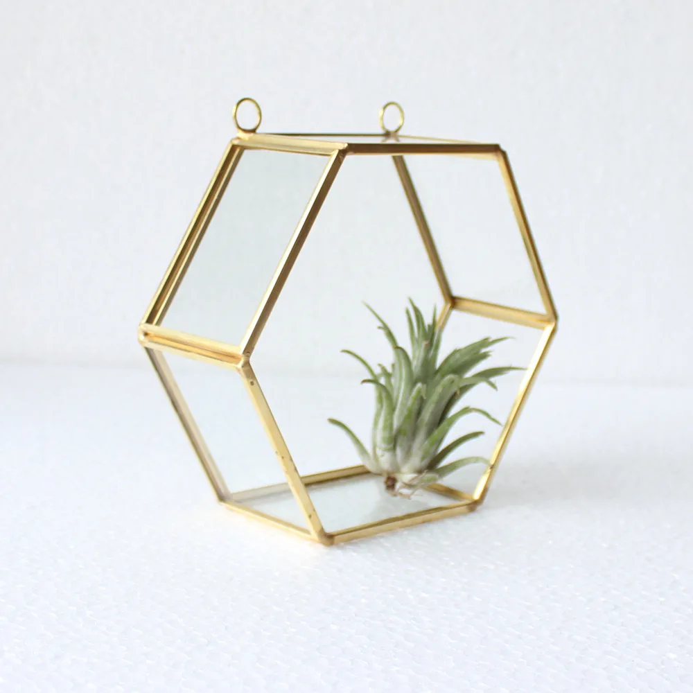 Классическое геометрическое стекло Террариум настенный парниковый цветок