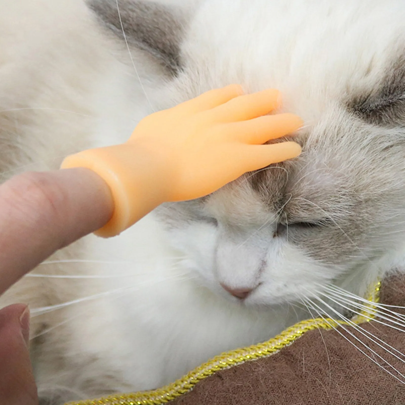 

Finger Puppets Toy Novelty Complexion Small Palm Funny Set Of 1pair Finger Hand Caress Pet Finger Puppets Realistic Small Toy