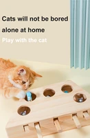 cat puzzle toy catch hunt mouse game funny owner and pet interactive toys