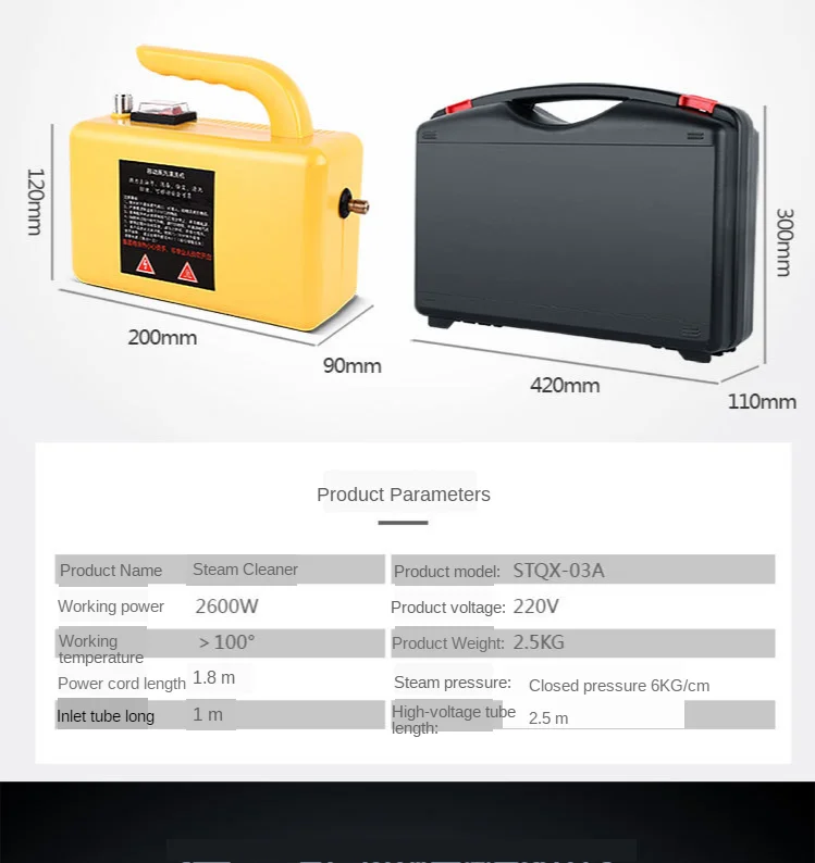 Auto Control Steam Cleaner Appliances Steam Cleaning Device Appliances Cleaning Machine 220V 0.5(L) 240 (C)