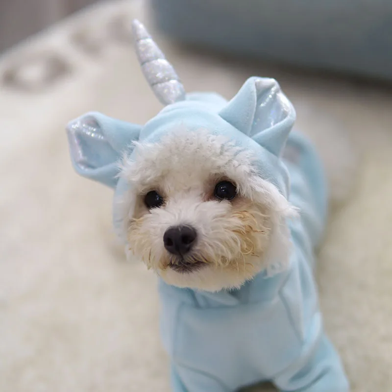 Осень-зима 2019 новая теплая Двусторонняя одежда для животных с интересным