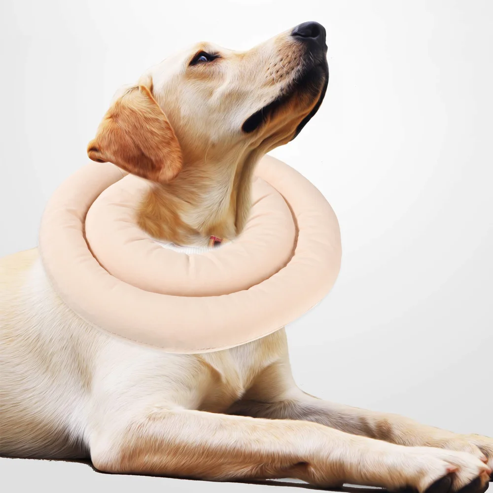 

Cat Collar Pet Shield Collar Healing Protective Anti-lick Cone - Size