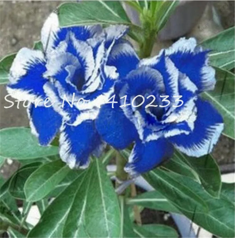 5 шт. искусственный цветок |