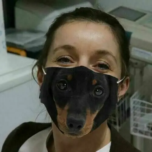 

Dachshund Dog Lover Face Mask Reusable Washable Fits All Size
