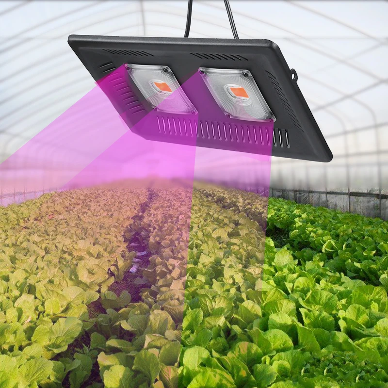 COB светодиодный светильник для выращивания 100 Вт 150 фитолампа растений полный