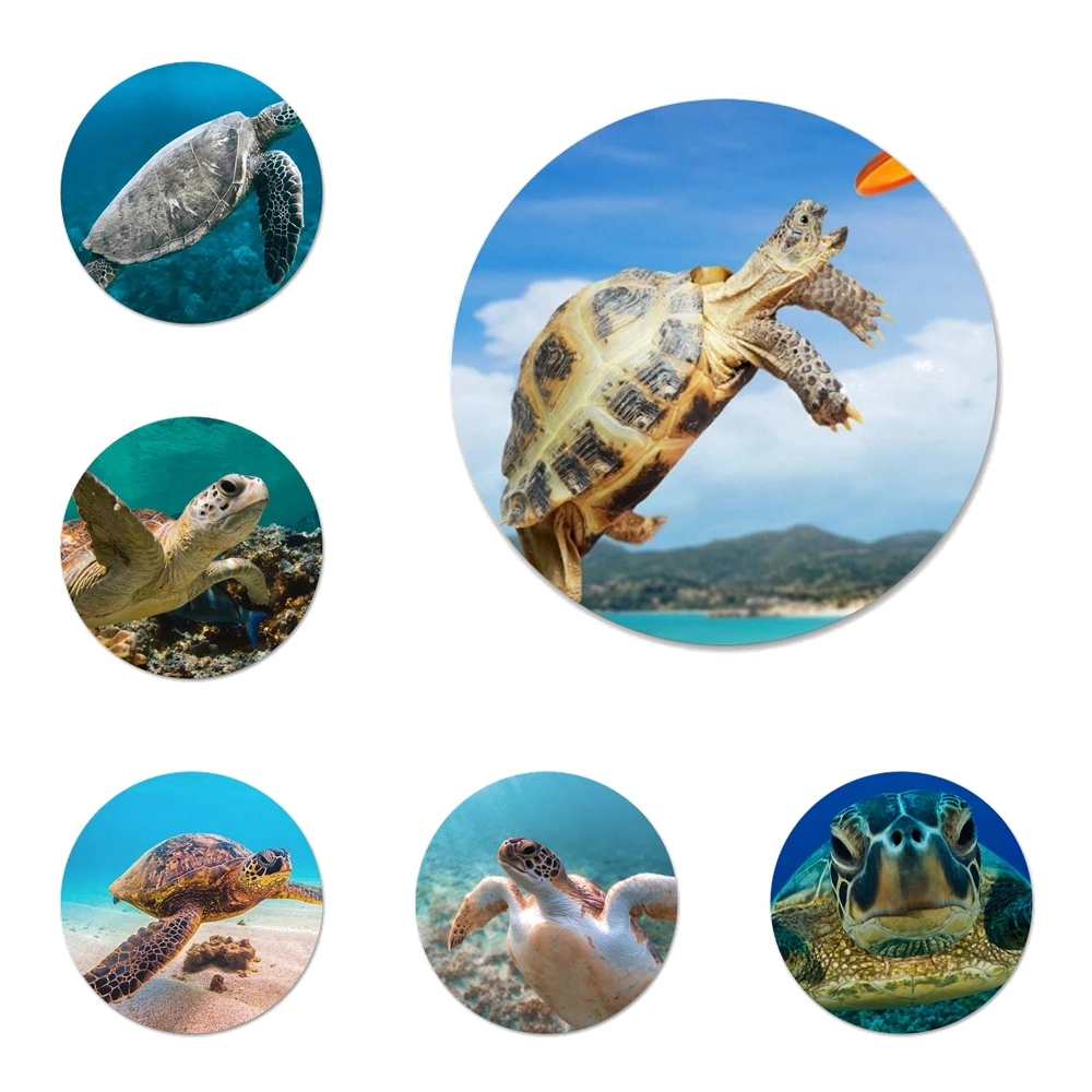 

Значок с надписью «Морская Черепаха», металлические значки для украшения одежды и рюкзака, 58 мм