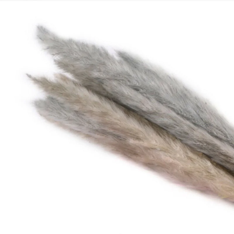 brown Горячая 15 шт. сушеные небольшие пампасы трава Phragmites украшения для дома отеля свадьбы TI99 - Цвет: brown