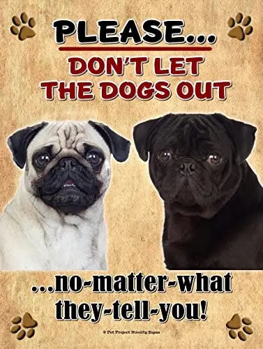 

Pug and Brown Pug - Don't Let The Dogs Out... 9X12 Realistic Pet Image New Aluminum Metal Outdoor Dog Pet Sign. Will Not Rust!