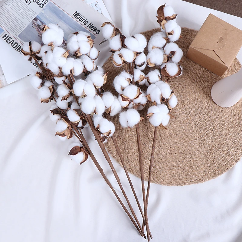 Натуральные сухие хлопковые цветы 1 шт. искусственные растения Цветочная ветка
