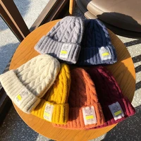 2021 wool knit new winter solid color beanie women fashion casual hat warm female soft thicken hedging cap slouchy bonnet ski