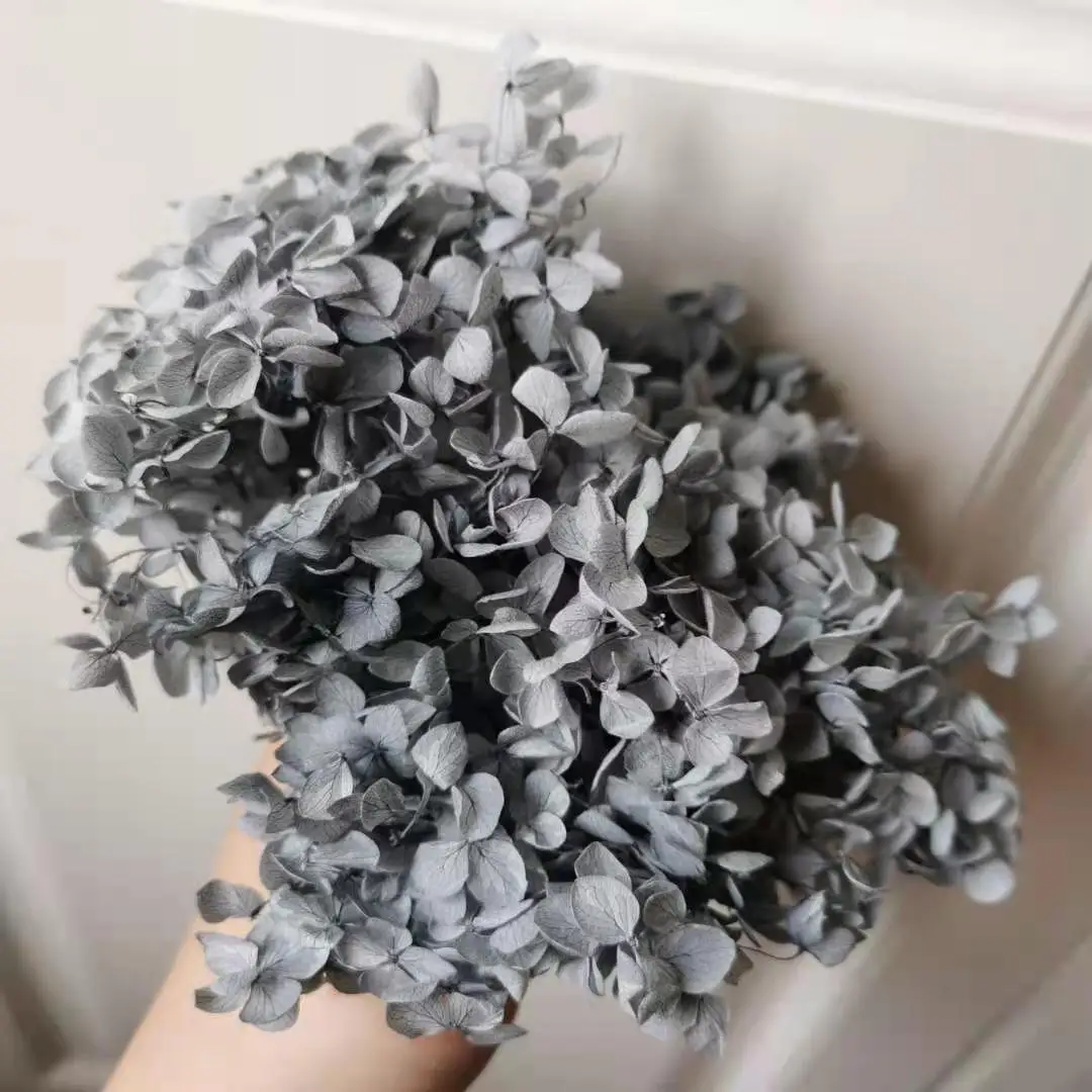 5 г/лот Гортензия Анна класса А природная свежая Цветочная головка DIY Подарочная