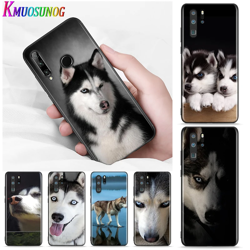 

Silicone Cover Animal Cute husky dog for Huawei P Smart S Nova 7i 6S 5T 5i 5 Pro 4 4E 3 3i 3E 2 2i P40 Lite P10 Phone Case