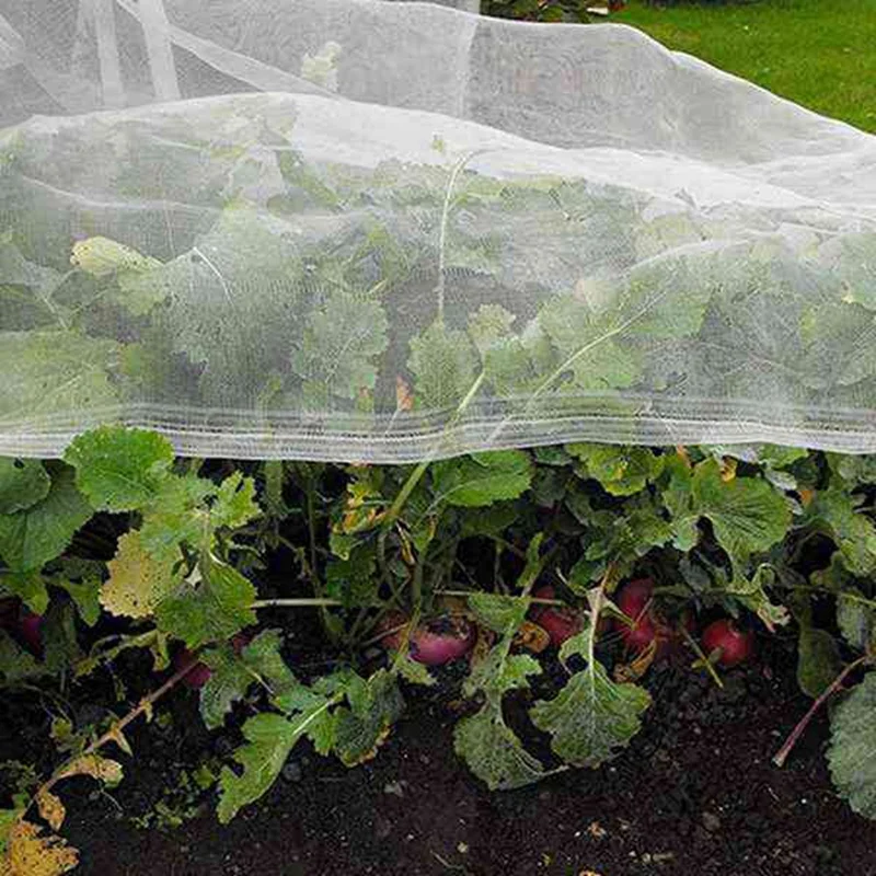 

Greenhouse Protective Net Fruit Care Cover Insect Net Plant Cover Net Garden Pest Control Plant Potection Net