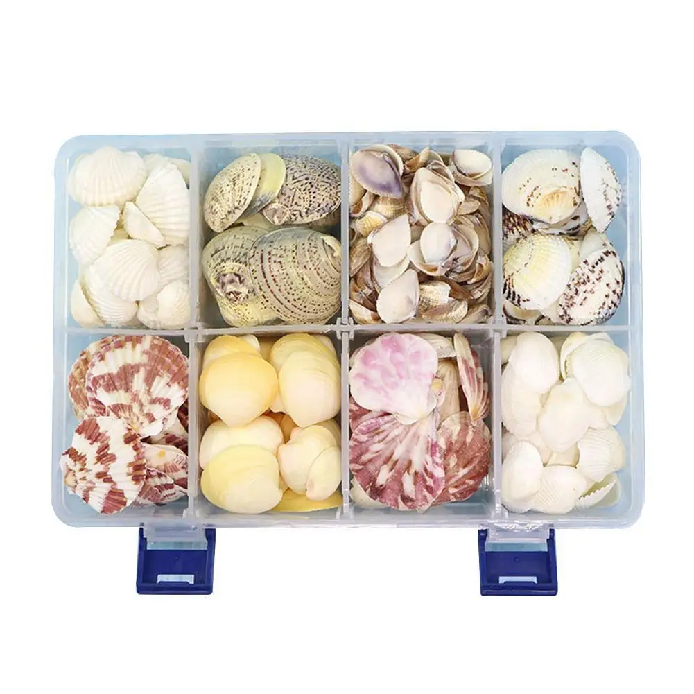 

Натуральные раковины, раковины, мини раковины, кукуруза, винты, домашние раковины, «сделай сам», пейзаж, Настенный декор, аквариумное украше...