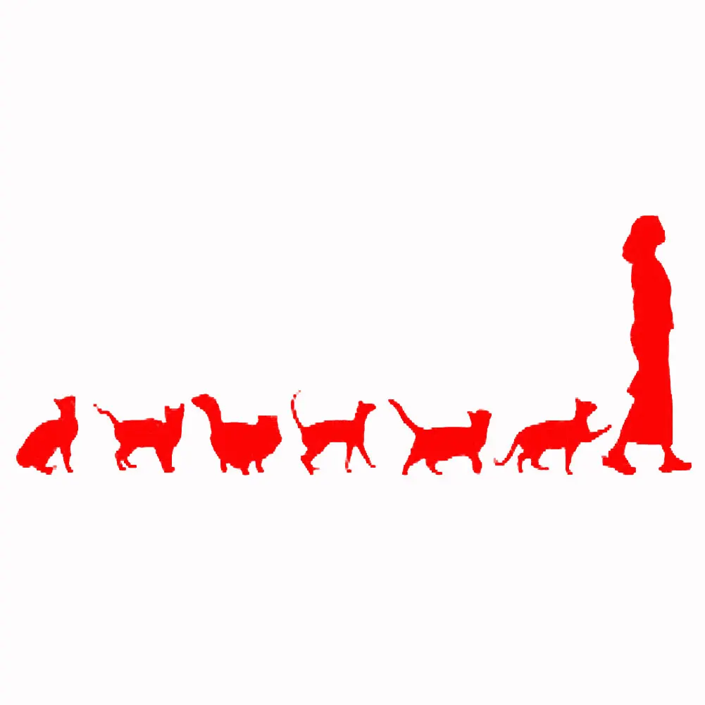 50% милые хит продаж кошки следите за Леди авто Стайлинг автомобиля средства ухода