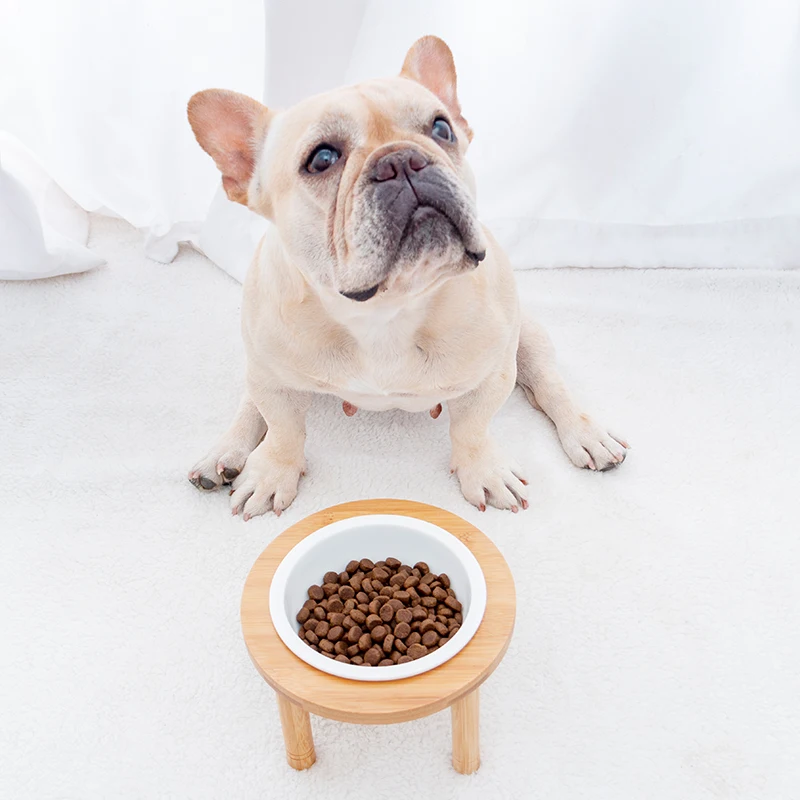 ПЭТ одна чаша стол для домашних животных высокий ножной собачий ошейник