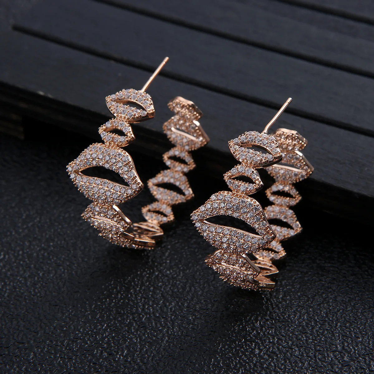 

EYER Luxury Leopard Statement Big Hoop Earrings For Women Wedding Cubic Zircon CZ DUBAI Bridal Round Circle Earring pendientes