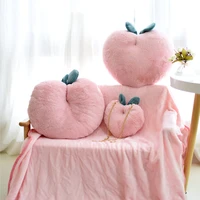 new peach pink pillow cushion plush toy girls lunch break coral fleece blanket two in one pillow blanket home decoration