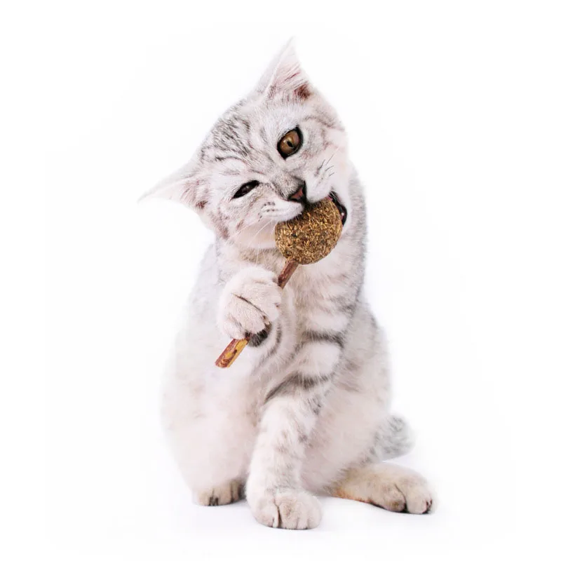 Мяч для домашних животных из кошачьей мяты в форме леденца стандартная молярная